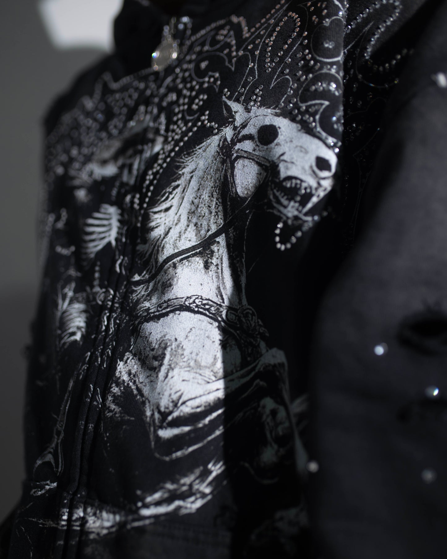 THE OLDER HORSE HOODIE